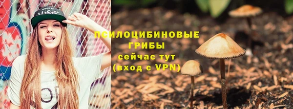 соль ск Алзамай